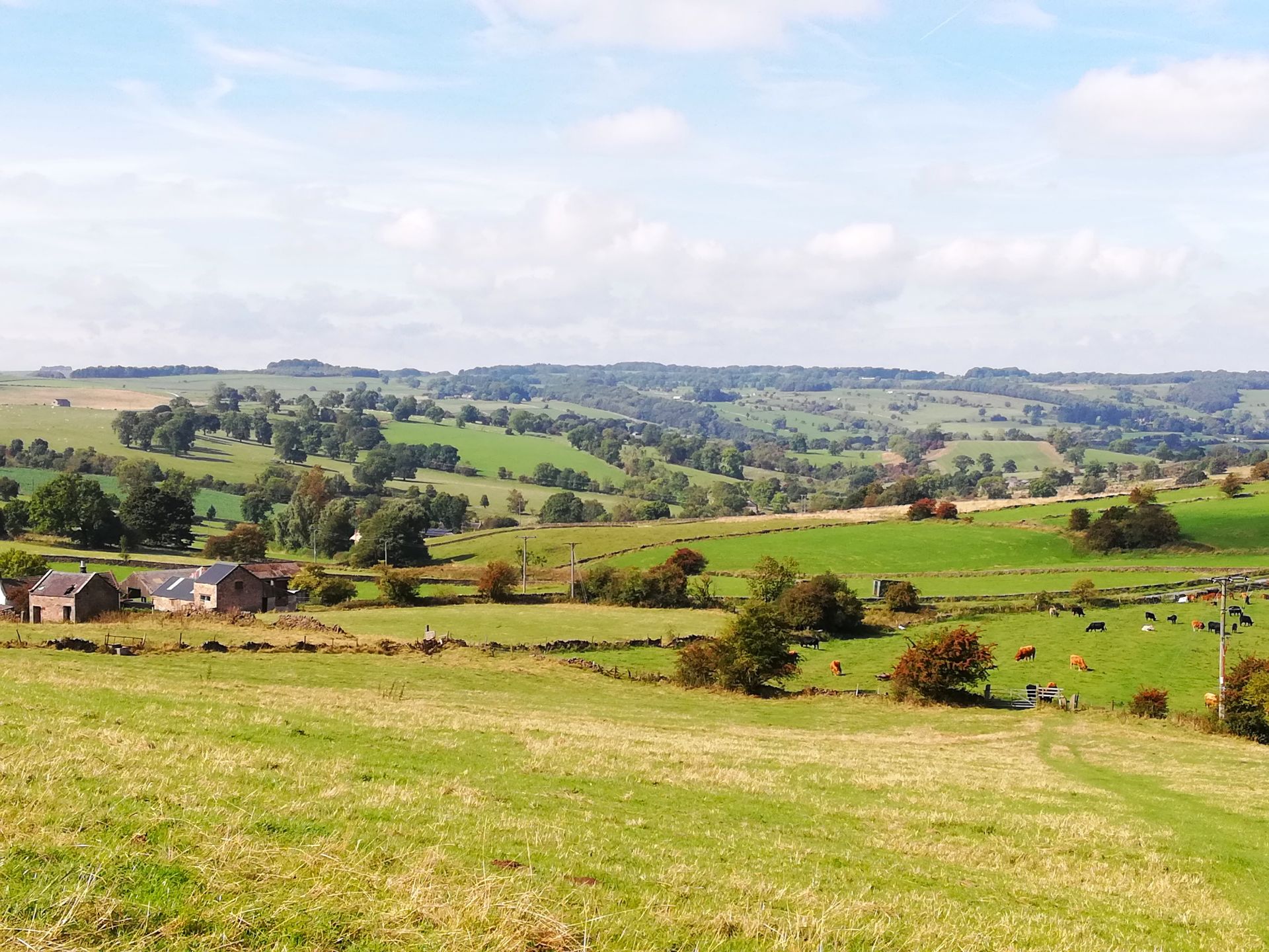 View over fields